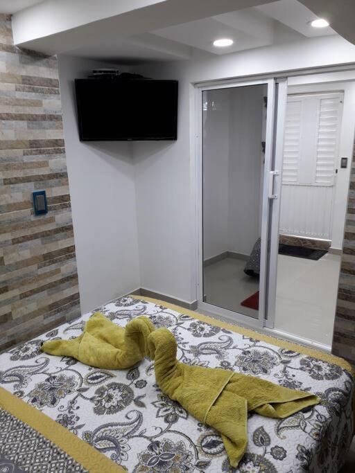 Posada Amiel Forbes Apartament 103 Apartment *